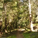 P1050042