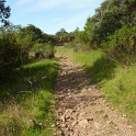 P1050048