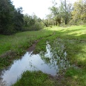 P1050058