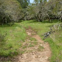 P1050062