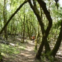 P1050070