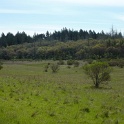 P1050089