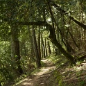 P1050090