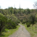 P1050099