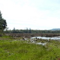 P1050100