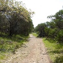 P1050105