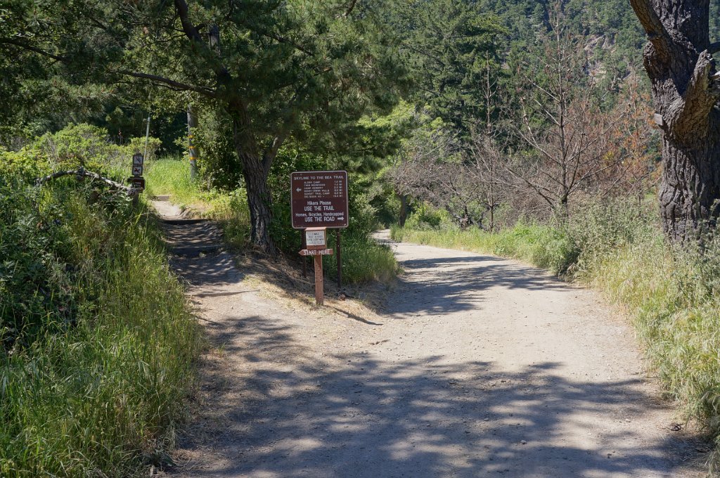 DSC05950