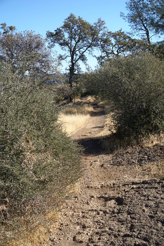 DSC00100
