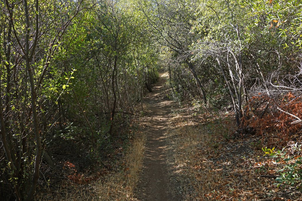 DSC00137