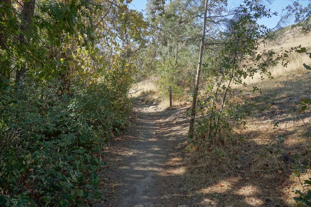 DSC00163