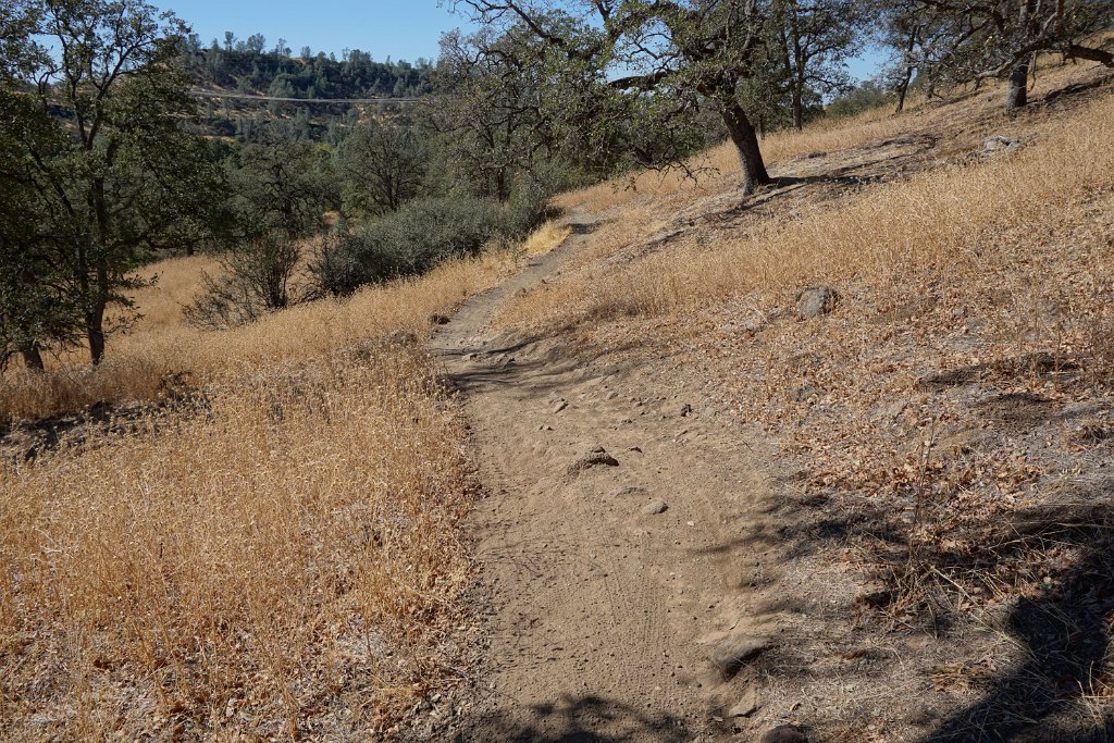 DSC00173
