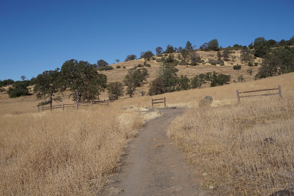 DSC00185