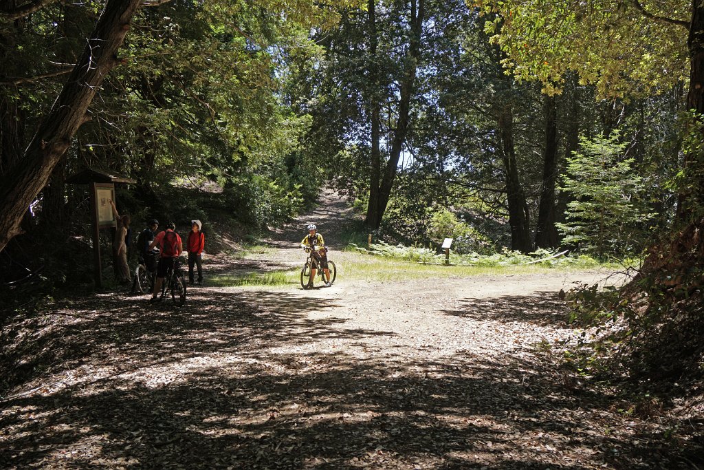 DSC09218