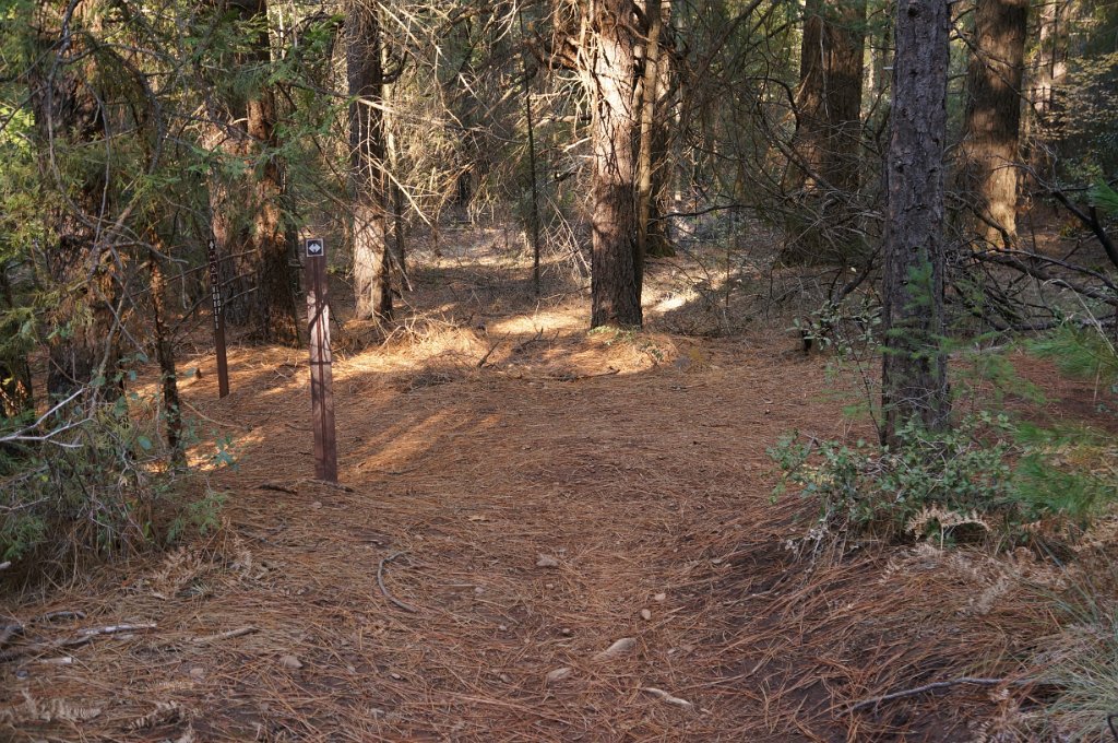 DSC04390