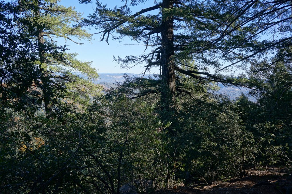 DSC04410