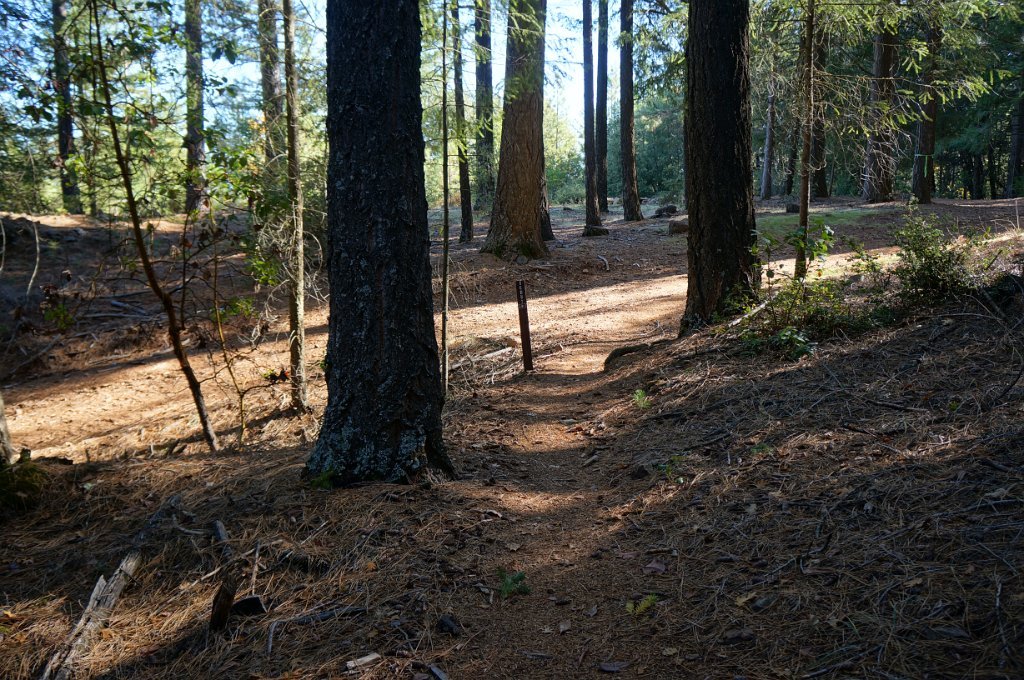 DSC04419