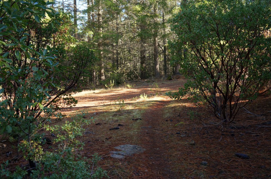 DSC04505