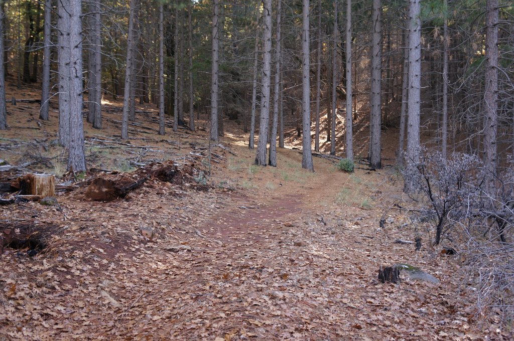 DSC04515