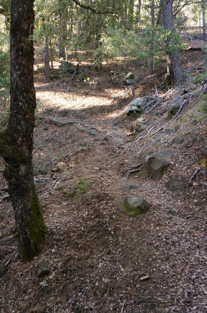 DSC04534