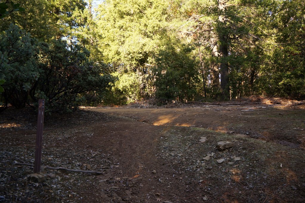 DSC04536