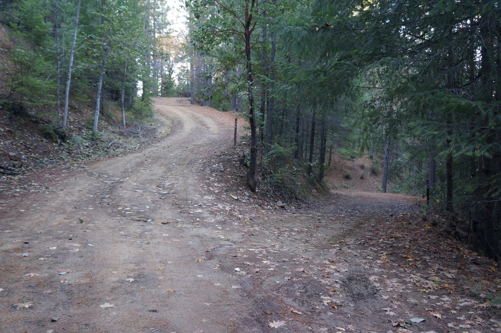 DSC04549