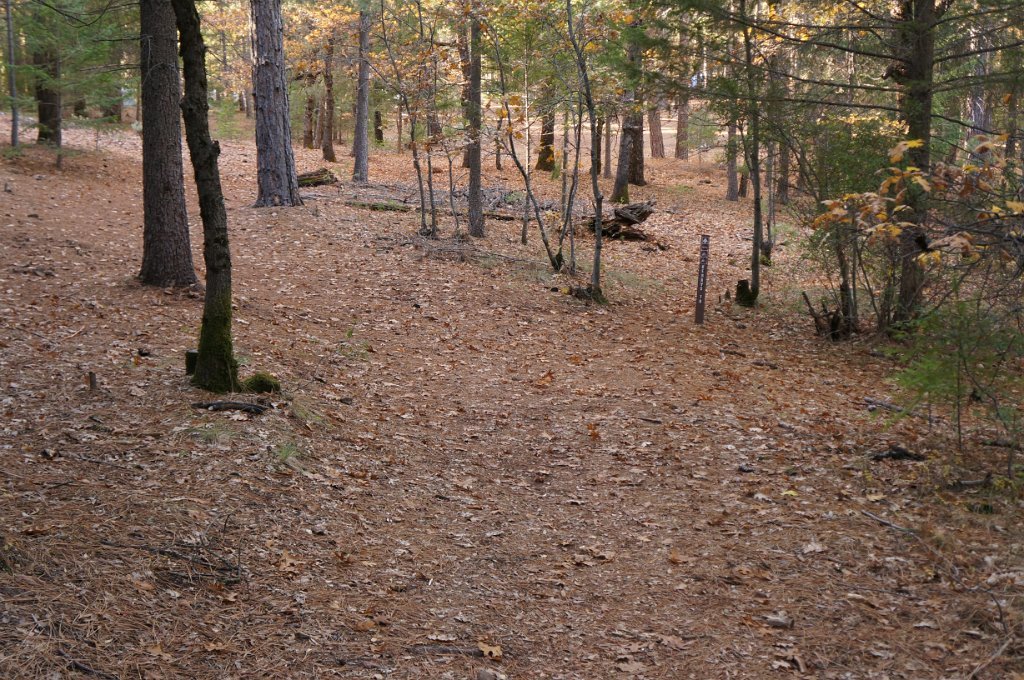 DSC04558