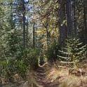 DSC04406