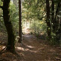DSC04426
