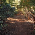 DSC04444