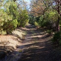 DSC04485