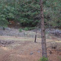 DSC04490