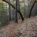 DSC04502