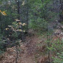 DSC04503