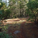 DSC04505