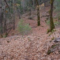 DSC04514