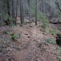 DSC04530