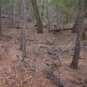 DSC04531