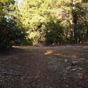 DSC04536