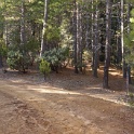 DSC04538