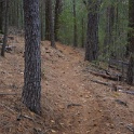 DSC04560