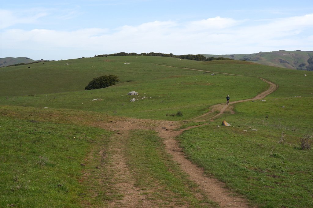 DSC04994