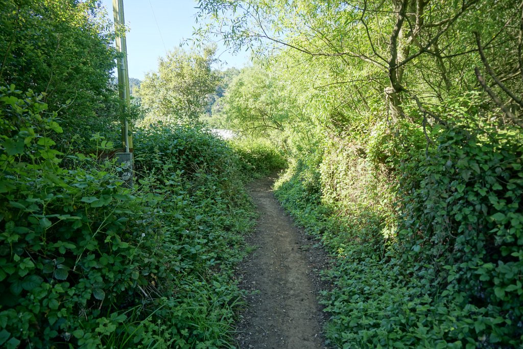 DSC05199