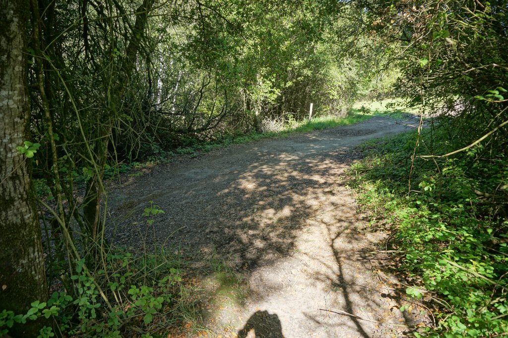 DSC05201