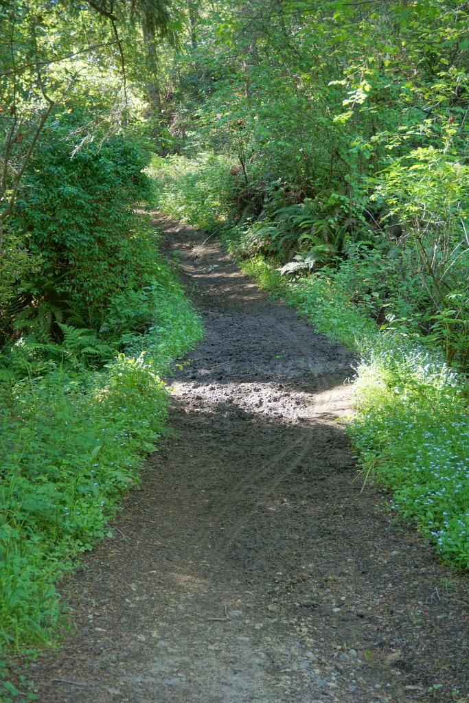 DSC05205