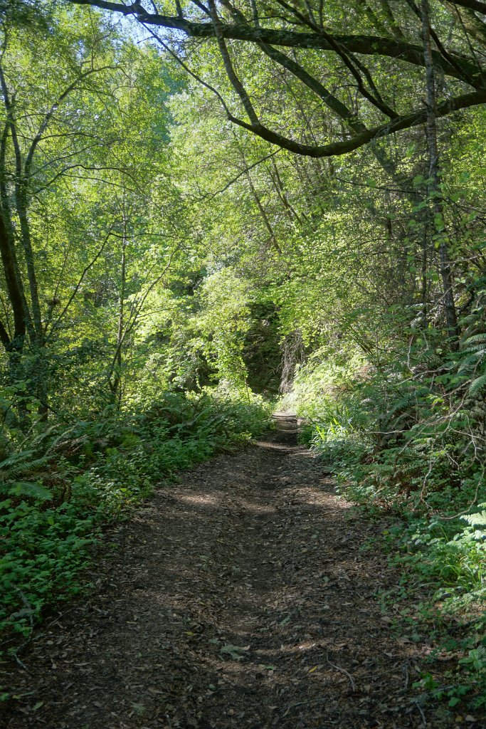DSC05218