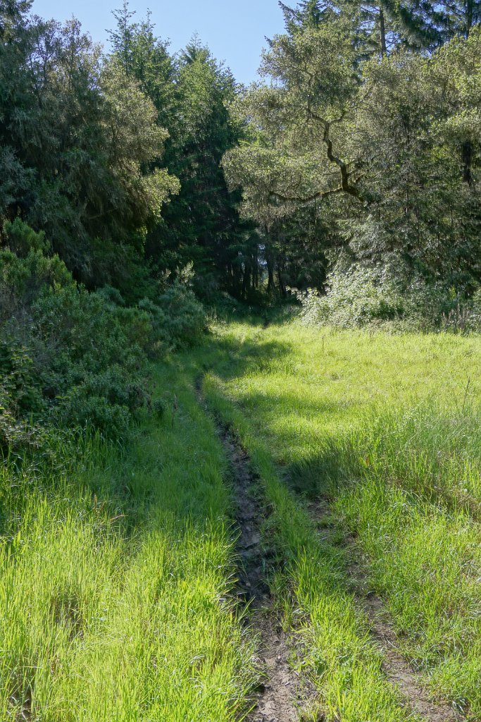 DSC05227