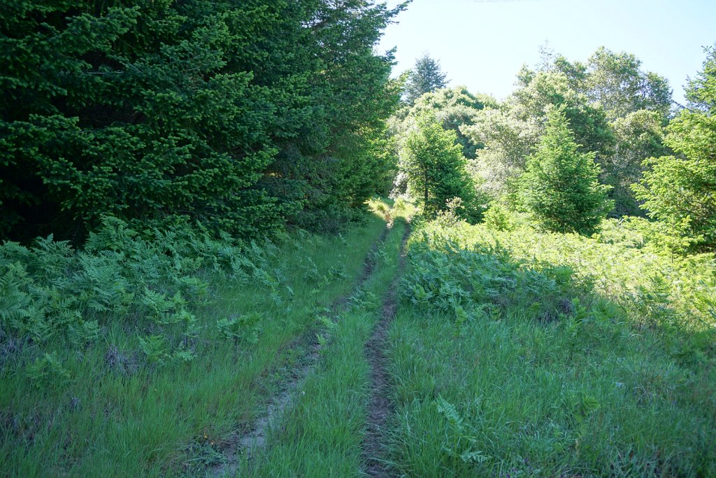 DSC05229