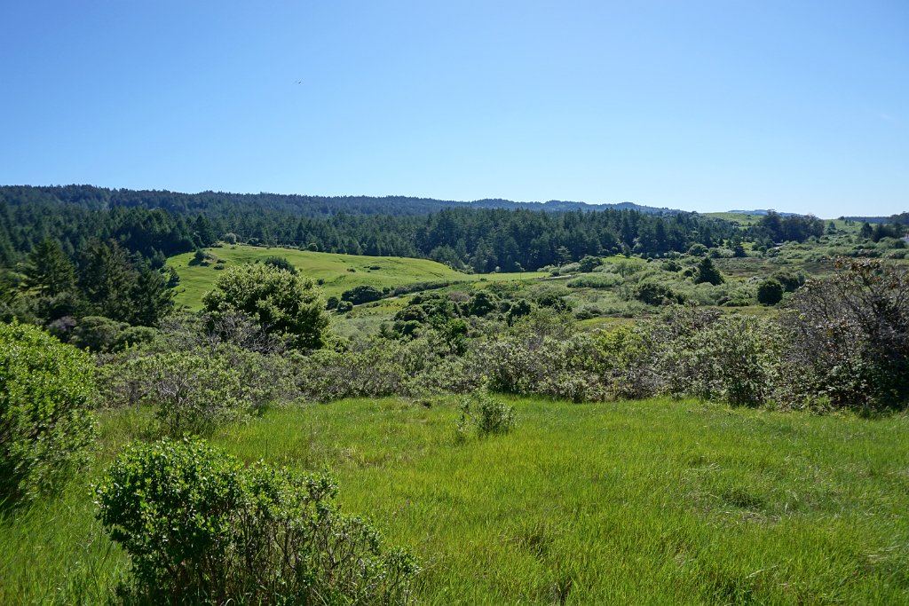 DSC05236
