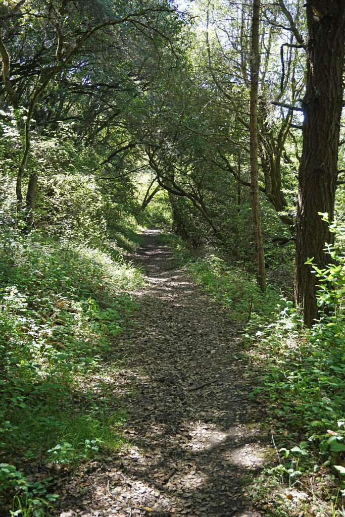 DSC05246