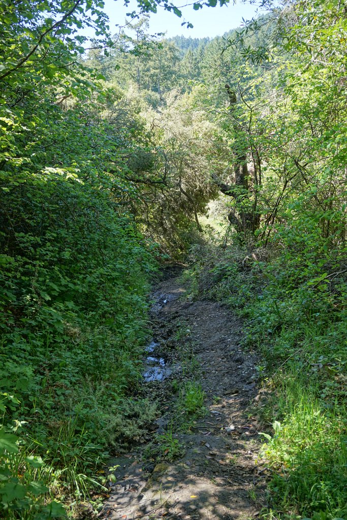 DSC05253